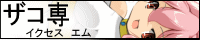 イクセスエム